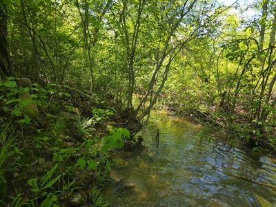 Mountain Land for Sale in Albion, Oklahoma - image 20