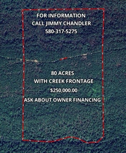 Mountain Land for Sale in Albion, Oklahoma - image 8
