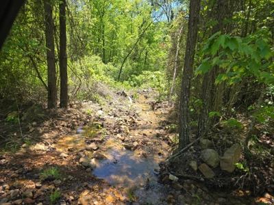Mountain Land for Sale in Albion, Oklahoma - image 17