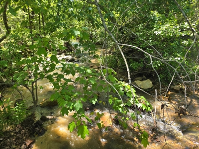 Mountain Land for Sale in Albion, Oklahoma - image 4