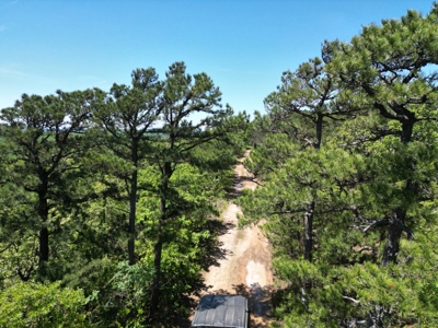 Mountain Land for Sale in Albion, Oklahoma - image 11