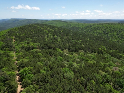Mountain Land for Sale in Albion, Oklahoma - image 15