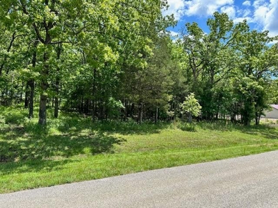 Vacant Lot For Sale in Horseshoe Bend - image 7