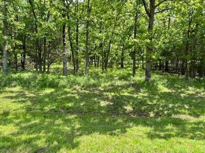 Vacant Lot For Sale in Horseshoe Bend - image 3