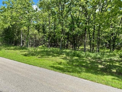Vacant Lot For Sale in Horseshoe Bend - image 4