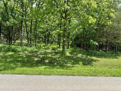 Vacant Lot For Sale in Horseshoe Bend - image 5
