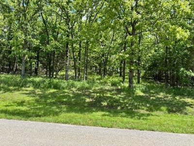 Vacant Lot For Sale in Horseshoe Bend - image 8