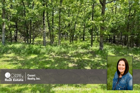 Vacant Lot For Sale in Horseshoe Bend - image 1