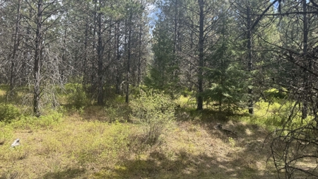 Land for Sale in Orofino Idaho in a Private 20 Acre Subdivision - image 29