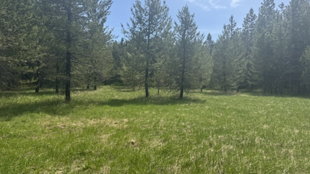 Land for Sale in Orofino Idaho in a Private 20 Acre Subdivision - image 25