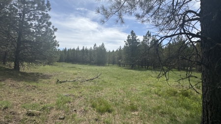 Land for Sale in Orofino Idaho in a Private 20 Acre Subdivision - image 2