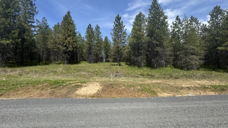 Land for Sale in Orofino Idaho in a Private 20 Acre Subdivision - image 36