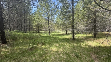 Land for Sale in Orofino Idaho in a Private 20 Acre Subdivision - image 16