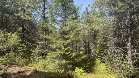 Land for Sale in Orofino Idaho in a Private 20 Acre Subdivision - image 31