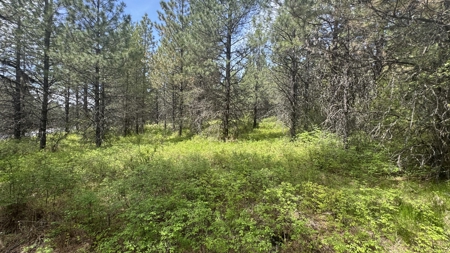 Land for Sale in Orofino Idaho in a Private 20 Acre Subdivision - image 7
