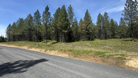 Land for Sale in Orofino Idaho in a Private 20 Acre Subdivision - image 37