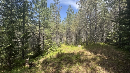 Land for Sale in Orofino Idaho in a Private 20 Acre Subdivision - image 30