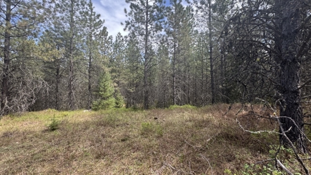 Land for Sale in Orofino Idaho in a Private 20 Acre Subdivision - image 14
