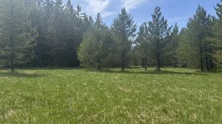 Land for Sale in Orofino Idaho in a Private 20 Acre Subdivision - image 1