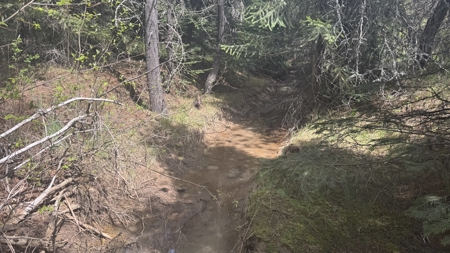 Land for Sale in Orofino Idaho in a Private 20 Acre Subdivision - image 24