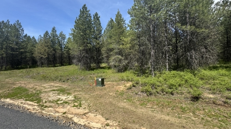 Land for Sale in Orofino Idaho in a Private 20 Acre Subdivision - image 35