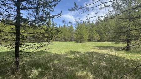 Land for Sale in Orofino Idaho in a Private 20 Acre Subdivision - image 18