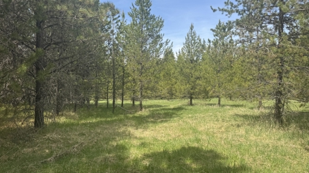 Land for Sale in Orofino Idaho in a Private 20 Acre Subdivision - image 28
