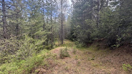 Land for Sale in Orofino Idaho in a Private 20 Acre Subdivision - image 10