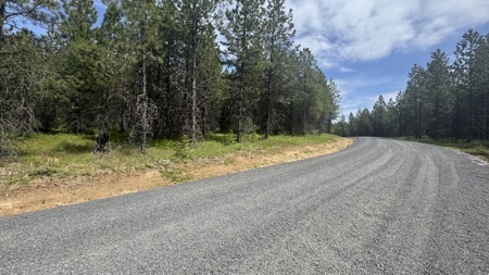 Land for Sale in Orofino Idaho in a Private 20 Acre Subdivision - image 4
