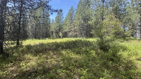Land for Sale in Orofino Idaho in a Private 20 Acre Subdivision - image 33