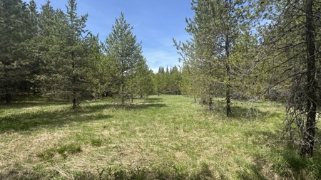 Land for Sale in Orofino Idaho in a Private 20 Acre Subdivision - image 17