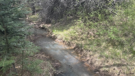 Land for Sale in Orofino Idaho in a Private 20 Acre Subdivision - image 23