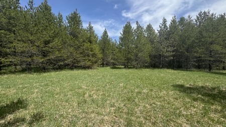 Land for Sale in Orofino Idaho in a Private 20 Acre Subdivision - image 21