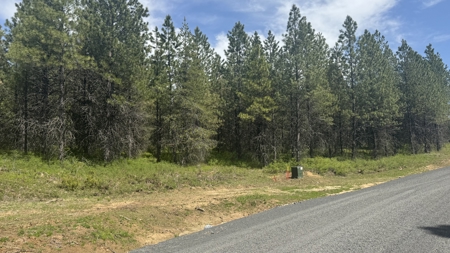 Land for Sale in Orofino Idaho in a Private 20 Acre Subdivision - image 38