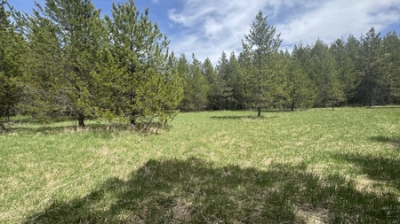 Land for Sale in Orofino Idaho in a Private 20 Acre Subdivision - image 19