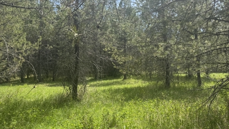 Land for Sale in Orofino Idaho in a Private 20 Acre Subdivision - image 22