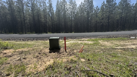 Land for Sale in Orofino Idaho in a Private 20 Acre Subdivision - image 34