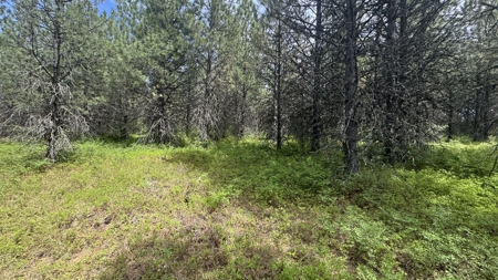 Land for Sale in Orofino Idaho in a Private 20 Acre Subdivision - image 6