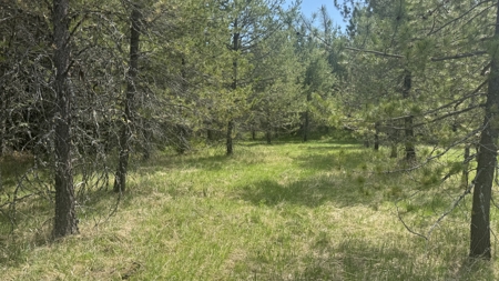 Land for Sale in Orofino Idaho in a Private 20 Acre Subdivision - image 27