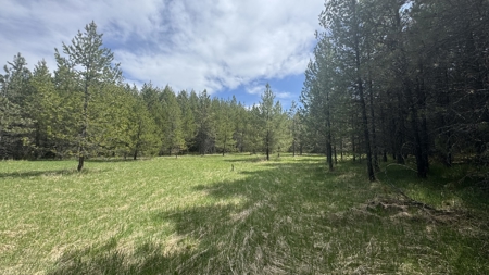 Land for Sale in Orofino Idaho in a Private 20 Acre Subdivision - image 20