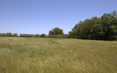 219.82 Acres of Pastureland in De Kalb TX For Sale - image 6