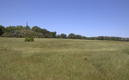 219.82 Acres of Pastureland in De Kalb TX For Sale - image 10