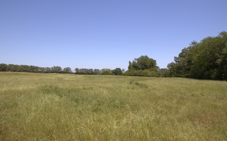 219.82 Acres of Pastureland in De Kalb TX For Sale - image 7
