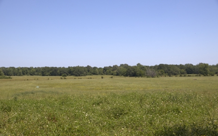 219.82 Acres of Pastureland in De Kalb TX For Sale - image 4
