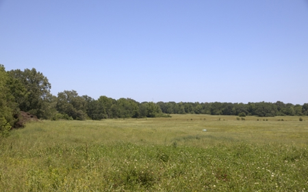 219.82 Acres of Pastureland in De Kalb TX For Sale - image 5