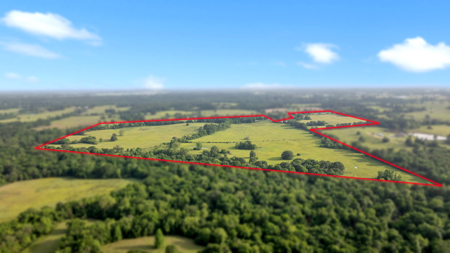 219.82 Acres of Pastureland in De Kalb TX For Sale - image 11