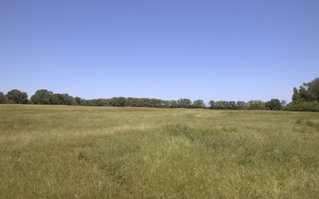 219.82 Acres of Pastureland in De Kalb TX For Sale - image 8