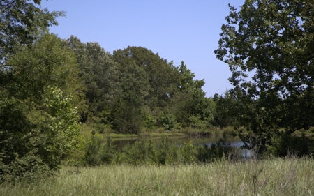 219.82 Acres of Pastureland in De Kalb TX For Sale - image 1