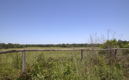 219.82 Acres of Pastureland in De Kalb TX For Sale - image 2