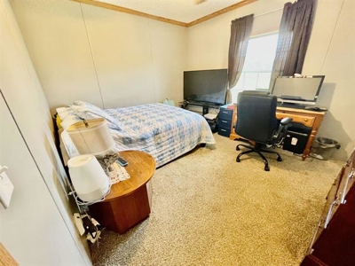 Two homes for sale Ash Flat, AR - image 22